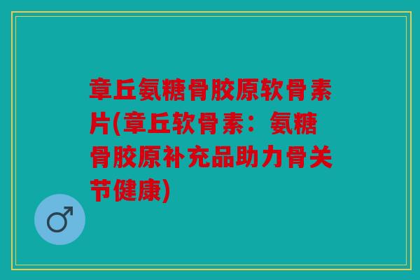章丘氨糖骨胶原软骨素片(章丘软骨素:氨糖骨胶原补充品助力骨关节健康) 章丘氨糖骨胶原软骨素片(章丘软骨素:氨糖骨胶原补充品助力骨关节健康)