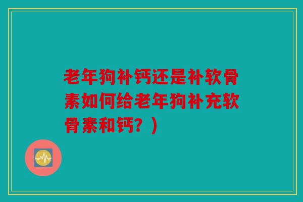 老年狗补钙还是补软骨素如何给老年狗补充软骨素和钙？)