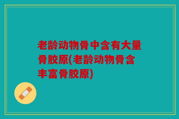 老龄动物骨中含有大量骨胶原(老龄动物骨含丰富骨胶原)