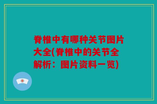脊椎中有哪种关节图片大全(脊椎中的关节全解析：图片资料一览)