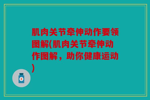 肌肉关节牵伸动作要领图解(肌肉关节牵伸动作图解，助你健康运动)