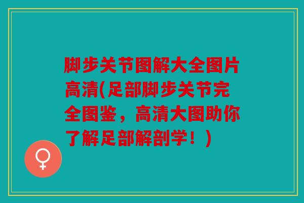 脚步关节图解大全图片高清(足部脚步关节完全图鉴，高清大图助你了解足部解剖学！)