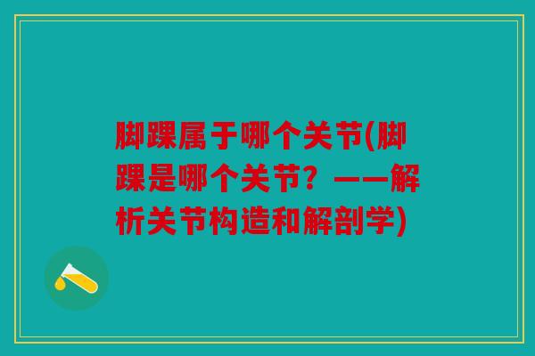 脚踝属于哪个关节(脚踝是哪个关节？——解析关节构造和解剖学)