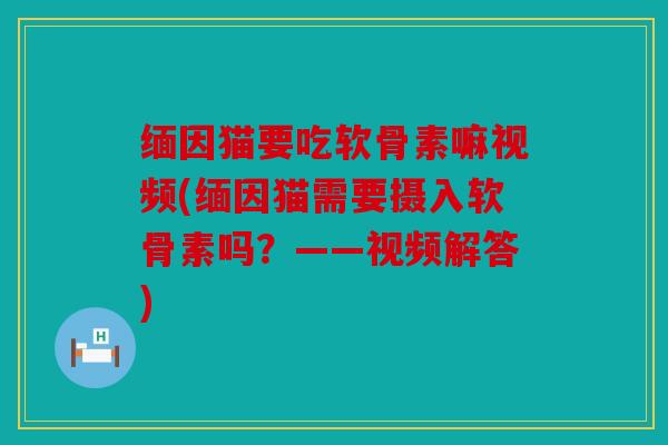 缅因猫要吃软骨素嘛视频(缅因猫需要摄入软骨素吗？——视频解答)