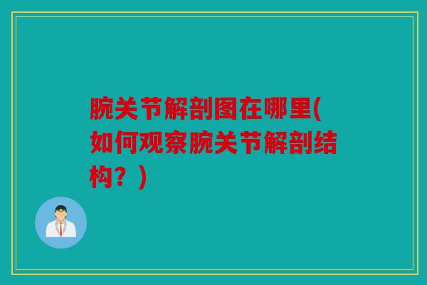 腕关节解剖图在哪里(如何观察腕关节解剖结构？)