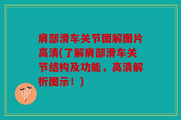 肩部滑车关节图解图片高清(了解肩部滑车关节结构及功能，高清解析图示！)