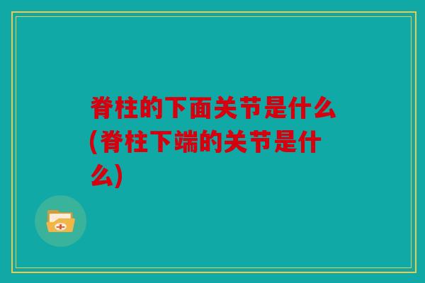 脊柱的下面关节是什么(脊柱下端的关节是什么)