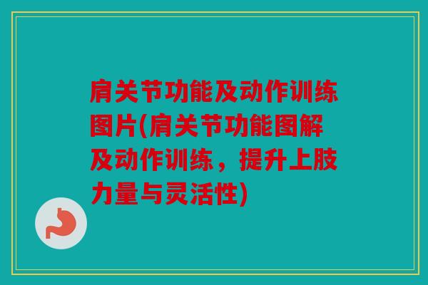 肩关节功能及动作训练图片(肩关节功能图解及动作训练，提升上肢力量与灵活性)
