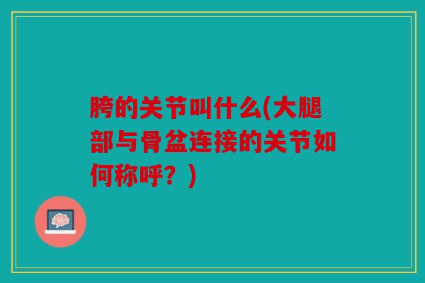 胯的关节叫什么(大腿部与骨盆连接的关节如何称呼？)