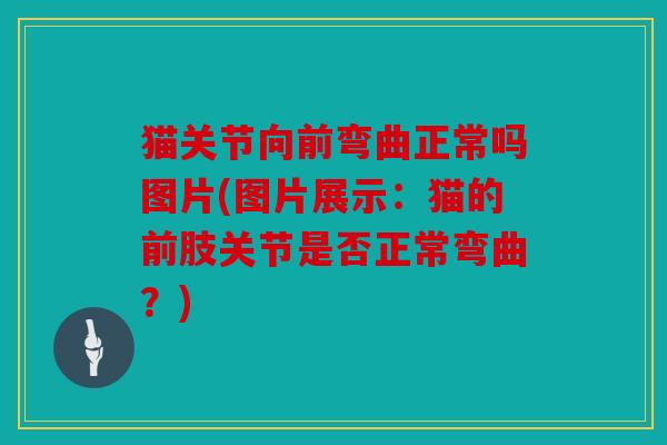 猫关节向前弯曲正常吗图片(图片展示：猫的前肢关节是否正常弯曲？)