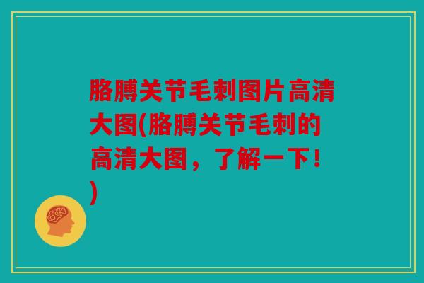 胳膊关节毛刺图片高清大图(胳膊关节毛刺的高清大图，了解一下！)