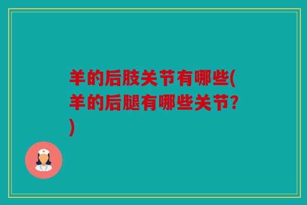 羊的后肢关节有哪些(羊的后腿有哪些关节？)