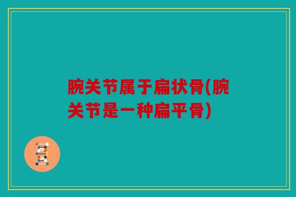 腕关节属于扁状骨(腕关节是一种扁平骨)