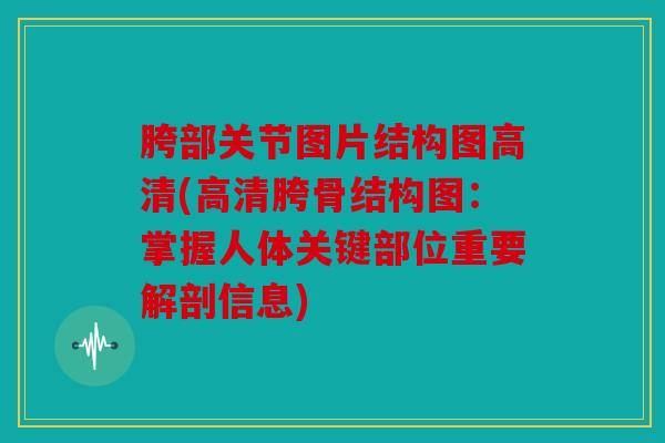 胯部关节图片结构图高清(高清胯骨结构图：掌握人体关键部位重要解剖信息)