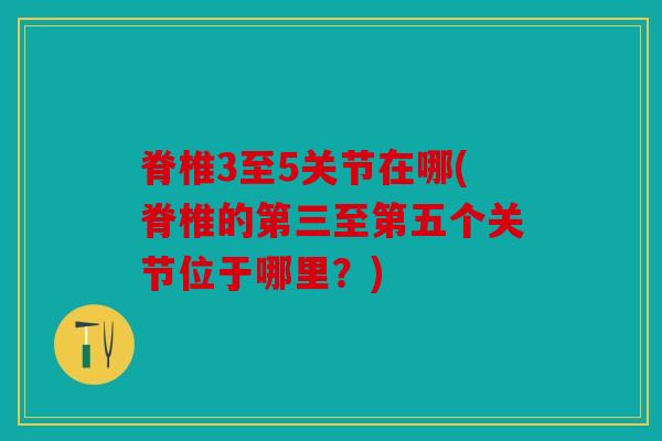脊椎3至5关节在哪(脊椎的第三至第五个关节位于哪里？)