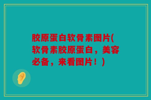 胶原蛋白软骨素图片(软骨素胶原蛋白，美容必备，来看图片！)