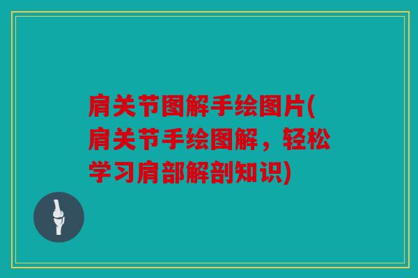 肩关节图解手绘图片(肩关节手绘图解，轻松学习肩部解剖知识)