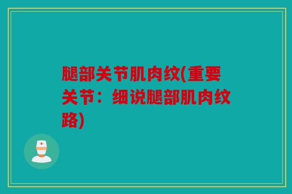 腿部关节肌肉纹(重要关节：细说腿部肌肉纹路)