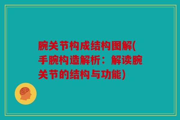 腕关节构成结构图解(手腕构造解析：解读腕关节的结构与功能)
