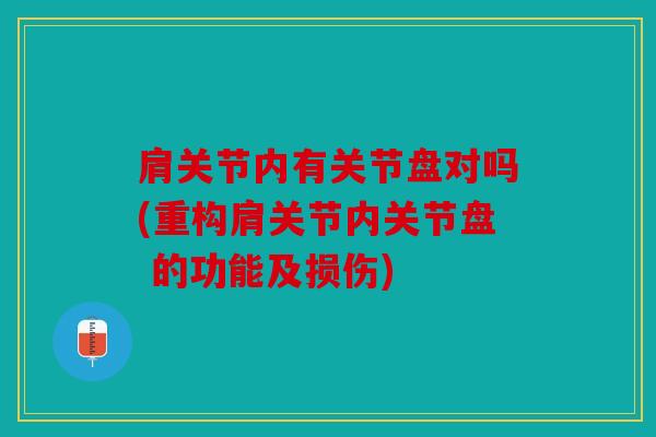 肩关节内有关节盘对吗(重构肩关节内关节盘 的功能及损伤)