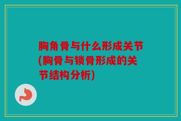 胸角骨与什么形成关节(胸骨与锁骨形成的关节结构分析)