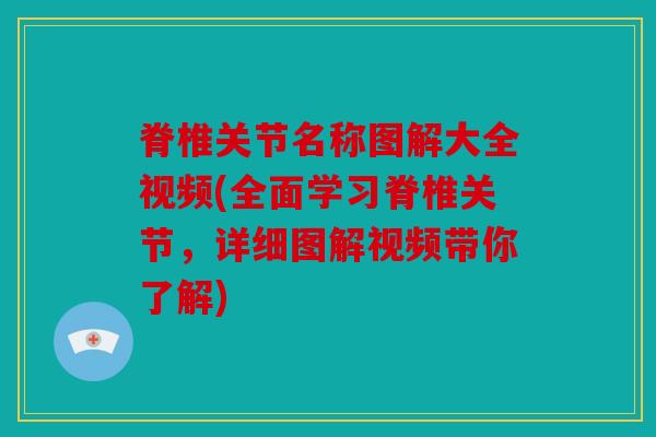脊椎关节名称图解大全视频(全面学习脊椎关节，详细图解视频带你了解)