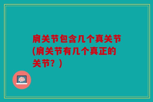 肩关节包含几个真关节(肩关节有几个真正的关节？)
