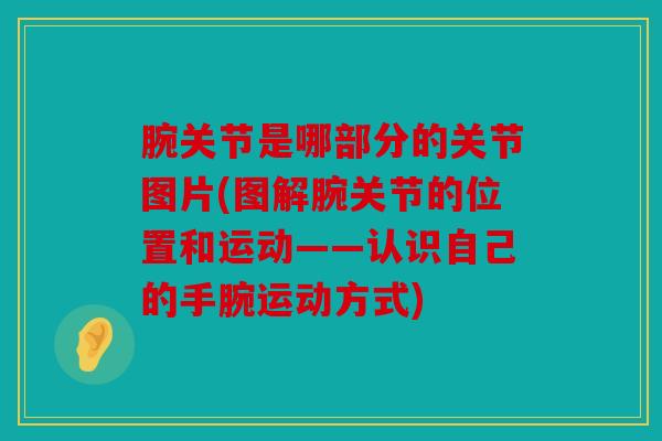 腕关节是哪部分的关节图片(图解腕关节的位置和运动——认识自己的手腕运动方式)