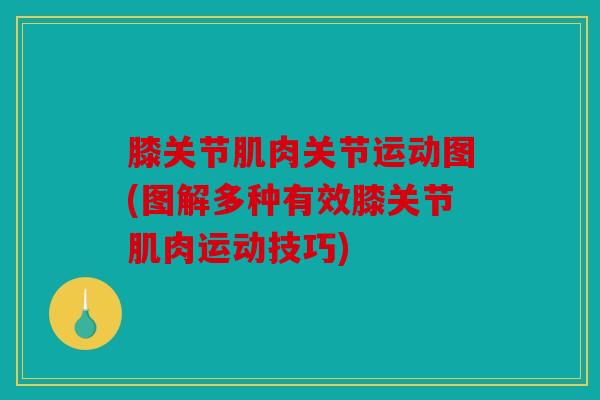 膝关节肌肉关节运动图(图解多种有效膝关节肌肉运动技巧)
