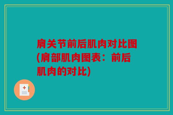 肩关节前后肌肉对比图(肩部肌肉图表：前后肌肉的对比)