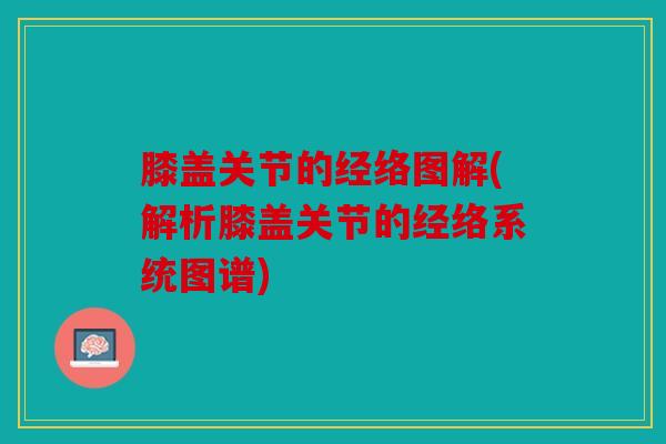 膝盖关节的经络图解(解析膝盖关节的经络系统图谱)