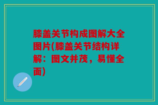 膝盖关节构成图解大全图片(膝盖关节结构详解：图文并茂，易懂全面)