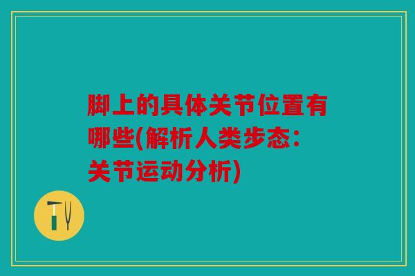 脚上的具体关节位置有哪些(解析人类步态：关节运动分析)