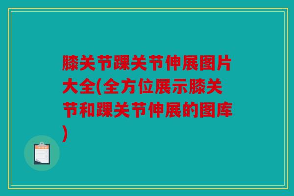 膝关节踝关节伸展图片大全(全方位展示膝关节和踝关节伸展的图库)