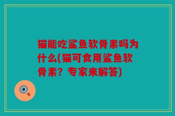 猫能吃鲨鱼软骨素吗为什么(猫可食用鲨鱼软骨素？专家来解答)