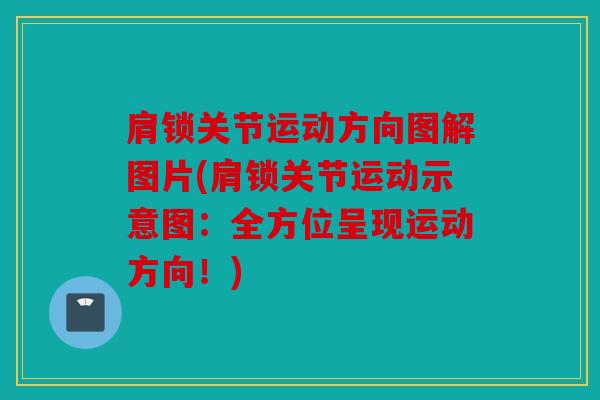 肩锁关节运动方向图解图片(肩锁关节运动示意图：全方位呈现运动方向！)