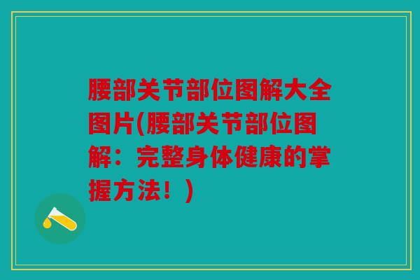 腰部关节部位图解大全图片(腰部关节部位图解:完整身体健康的掌握方法!) 腰部关节部位图解大全图片(腰部关节部位图解:完整身体健康的掌握方法!)