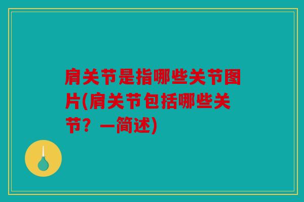 肩关节是指哪些关节图片(肩关节包括哪些关节？—简述)