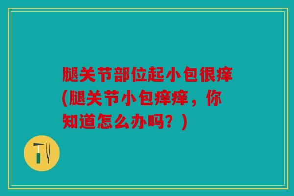 腿关节部位起小包很痒(腿关节小包痒痒，你知道怎么办吗？)