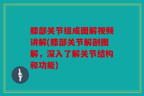 膝部关节组成图解视频讲解(膝部关节解剖图解，深入了解关节结构和功能)