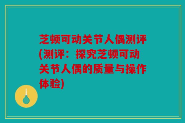 芝顿可动关节人偶测评(测评：探究芝顿可动关节人偶的质量与操作体验)