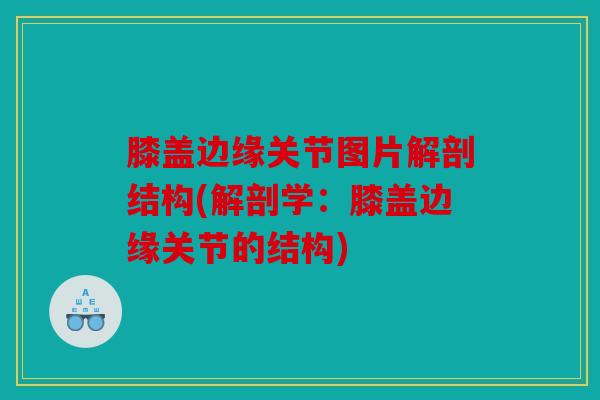 膝盖边缘关节图片解剖结构(解剖学：膝盖边缘关节的结构)