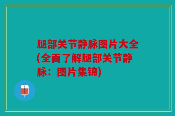 腿部关节静脉图片大全(全面了解腿部关节静脉：图片集锦)