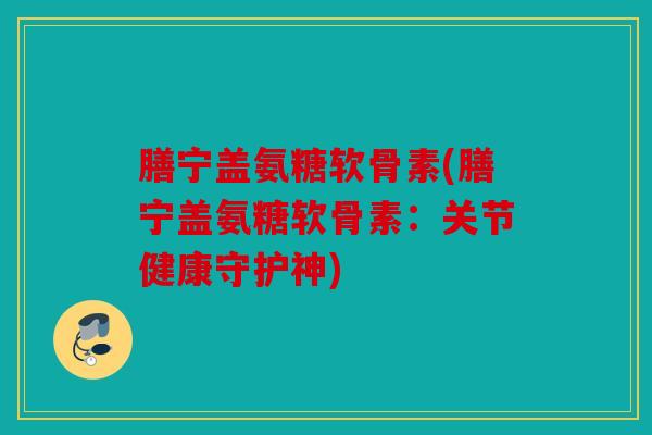 膳宁盖氨糖软骨素(膳宁盖氨糖软骨素：关节健康守护神)