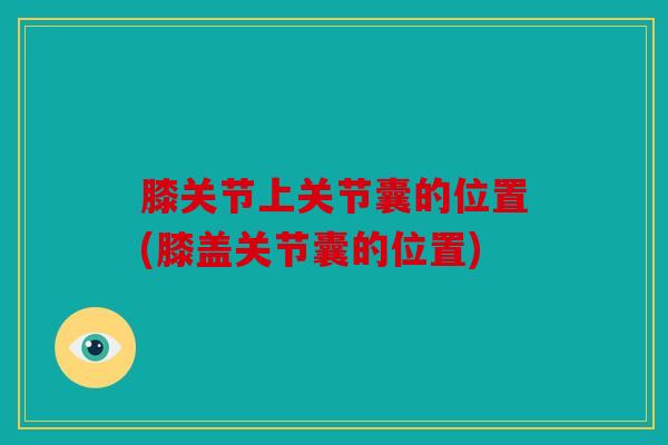 膝关节上关节囊的位置(膝盖关节囊的位置)