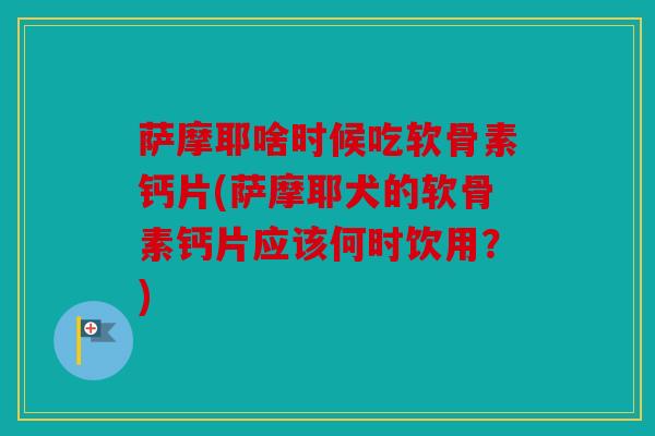 萨摩耶啥时候吃软骨素钙片(萨摩耶犬的软骨素钙片应该何时饮用？)