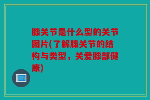 膝关节是什么型的关节图片(了解膝关节的结构与类型，关爱膝部健康)