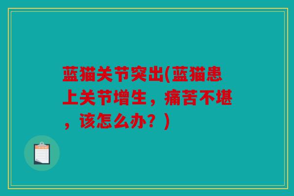 蓝猫关节突出(蓝猫患上关节增生，痛苦不堪，该怎么办？)