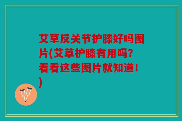 艾草反关节护膝好吗图片(艾草护膝有用吗？看看这些图片就知道！)