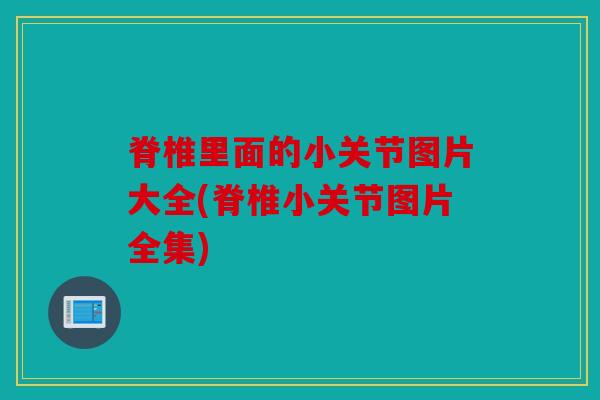 脊椎里面的小关节图片大全(脊椎小关节图片全集)